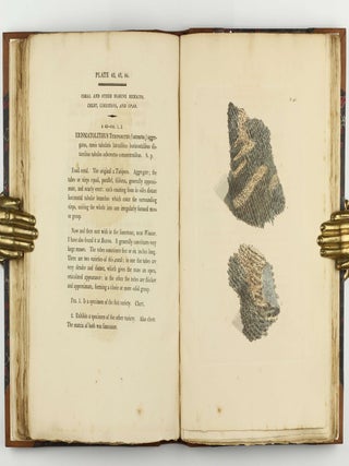Petrificata Derbiensia; or, Figures and Descriptions of Petrifactions Collected in Derbyshire. Volume I (all published).