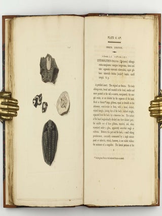 Petrificata Derbiensia; or, Figures and Descriptions of Petrifactions Collected in Derbyshire. Volume I (all published).