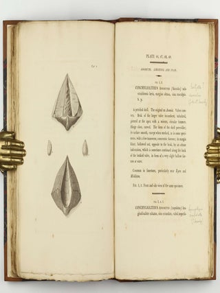 Petrificata Derbiensia; or, Figures and Descriptions of Petrifactions Collected in Derbyshire. Volume I (all published).