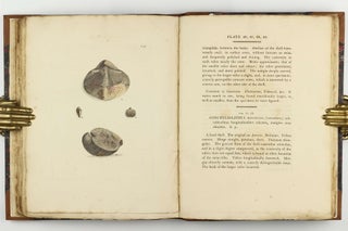 Petrificata Derbiensia; or, Figures and Descriptions of Petrifactions Collected in Derbyshire. Volume I (all published).