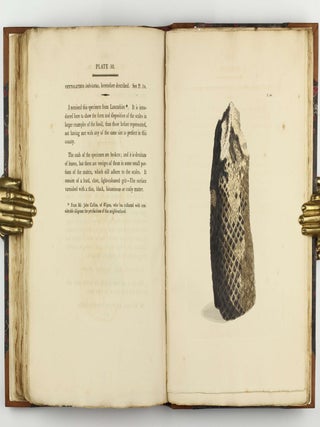 Petrificata Derbiensia; or, Figures and Descriptions of Petrifactions Collected in Derbyshire. Volume I (all published).