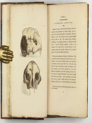 Petrificata Derbiensia; or, Figures and Descriptions of Petrifactions Collected in Derbyshire. Volume I (all published).