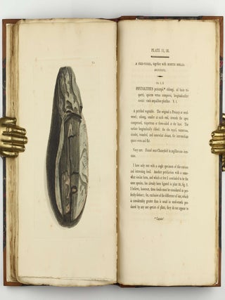 Petrificata Derbiensia; or, Figures and Descriptions of Petrifactions Collected in Derbyshire. Volume I (all published).