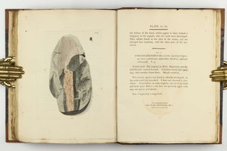Petrificata Derbiensia; or, Figures and Descriptions of Petrifactions Collected in Derbyshire. Volume I (all published).