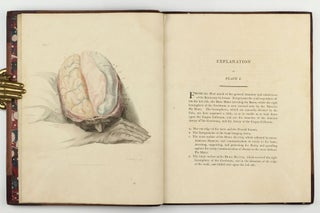 The Anatomy of the Brain, Explained in a Series of Engravings.