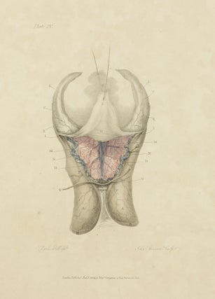 The Anatomy of the Brain, Explained in a Series of Engravings.