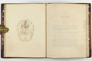 The Anatomy of the Brain, Explained in a Series of Engravings.