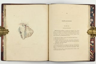 The Anatomy of the Brain, Explained in a Series of Engravings.