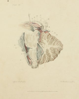 The Anatomy of the Brain, Explained in a Series of Engravings.