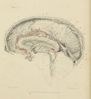The Anatomy of the Brain, Explained in a Series of Engravings.