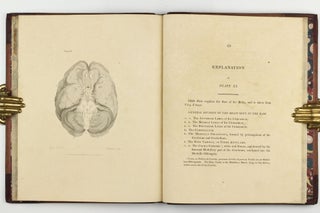 The Anatomy of the Brain, Explained in a Series of Engravings.