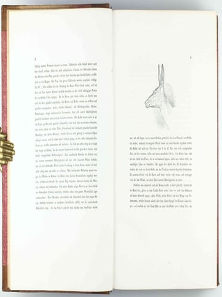 Reise in das Innere Nord-America in den Jahren 1832 bis 1834.