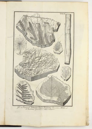 Herbarium diluvianum collectum.
