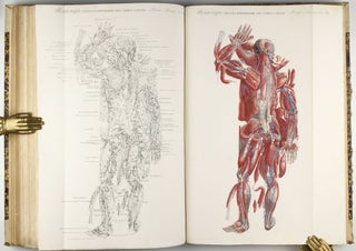 Anatomia universale [. . .] rappresentata con tavole in rame ridotte a minori forme di quelle della grande. . .