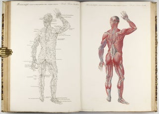 Anatomia universale [...] rappresentata con tavole in rame ridotte a minori forme di quelle della grande...