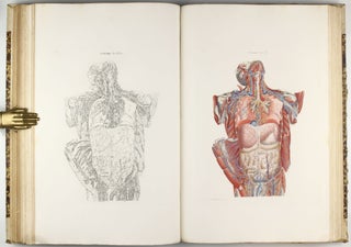 Anatomia universale [. . .] rappresentata con tavole in rame ridotte a minori forme di quelle della grande. . .