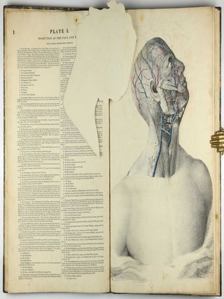 Myology, illustrated by plates. In four parts / A Supplement To Myology: Containing The Arteries, Veins, Nerves, And Lymphatics Of The Human Body, The Abdominal & Thoracic Viscera, The Ear And Eye, The Brain, And The Gravid Uterus, With The Foetal Circulation.