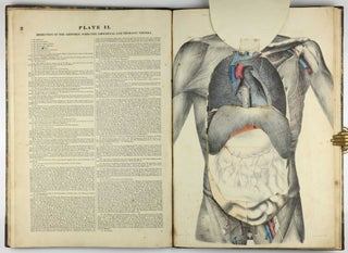 Myology, illustrated by plates. In four parts / A Supplement To Myology: Containing The Arteries, Veins, Nerves, And Lymphatics Of The Human Body, The Abdominal & Thoracic Viscera, The Ear And Eye, The Brain, And The Gravid Uterus, With The Foetal Circulation.