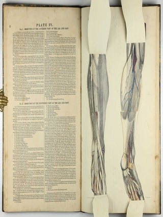 Myology, illustrated by plates. In four parts / A Supplement To Myology: Containing The Arteries, Veins, Nerves, And Lymphatics Of The Human Body, The Abdominal & Thoracic Viscera, The Ear And Eye, The Brain, And The Gravid Uterus, With The Foetal Circulation.