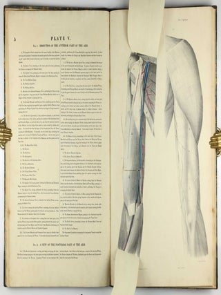 Myology, illustrated by plates. In four parts / A Supplement To Myology: Containing The Arteries, Veins, Nerves, And Lymphatics Of The Human Body, The Abdominal & Thoracic Viscera, The Ear And Eye, The Brain, And The Gravid Uterus, With The Foetal Circulation.