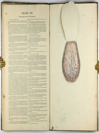 Myology, illustrated by plates. In four parts / A Supplement To Myology: Containing The Arteries, Veins, Nerves, And Lymphatics Of The Human Body, The Abdominal & Thoracic Viscera, The Ear And Eye, The Brain, And The Gravid Uterus, With The Foetal Circulation.