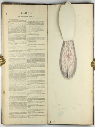 Myology, illustrated by plates. In four parts / A Supplement To Myology: Containing The Arteries, Veins, Nerves, And Lymphatics Of The Human Body, The Abdominal & Thoracic Viscera, The Ear And Eye, The Brain, And The Gravid Uterus, With The Foetal Circulation.