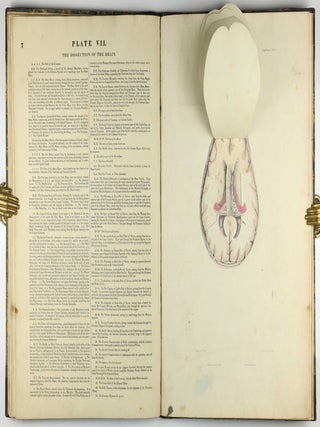 Myology, illustrated by plates. In four parts / A Supplement To Myology: Containing The Arteries, Veins, Nerves, And Lymphatics Of The Human Body, The Abdominal & Thoracic Viscera, The Ear And Eye, The Brain, And The Gravid Uterus, With The Foetal Circulation.