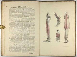 Myology, illustrated by plates. In four parts / A Supplement To Myology: Containing The Arteries, Veins, Nerves, And Lymphatics Of The Human Body, The Abdominal & Thoracic Viscera, The Ear And Eye, The Brain, And The Gravid Uterus, With The Foetal Circulation.