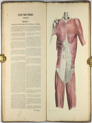 Myology, illustrated by plates. In four parts / A Supplement To Myology: Containing The Arteries, Veins, Nerves, And Lymphatics Of The Human Body, The Abdominal & Thoracic Viscera, The Ear And Eye, The Brain, And The Gravid Uterus, With The Foetal Circulation.