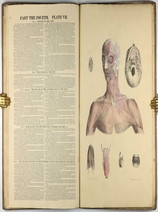 Myology, illustrated by plates. In four parts / A Supplement To Myology: Containing The Arteries, Veins, Nerves, And Lymphatics Of The Human Body, The Abdominal & Thoracic Viscera, The Ear And Eye, The Brain, And The Gravid Uterus, With The Foetal Circulation.