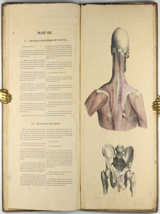 Myology, illustrated by plates. In four parts / A Supplement To Myology: Containing The Arteries, Veins, Nerves, And Lymphatics Of The Human Body, The Abdominal & Thoracic Viscera, The Ear And Eye, The Brain, And The Gravid Uterus, With The Foetal Circulation.