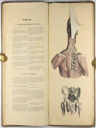 Myology, illustrated by plates. In four parts / A Supplement To Myology: Containing The Arteries, Veins, Nerves, And Lymphatics Of The Human Body, The Abdominal & Thoracic Viscera, The Ear And Eye, The Brain, And The Gravid Uterus, With The Foetal Circulation.