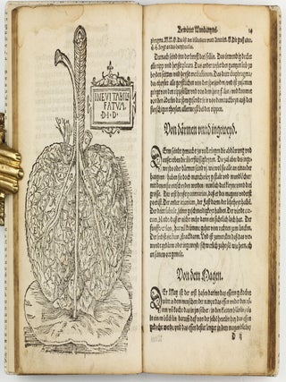 Feld und Stattbuch bewerter Wundtartznei. New widerumb ersehen zusampt dem Antidotari, Fürsorg und Vorrath der Chirurgei.