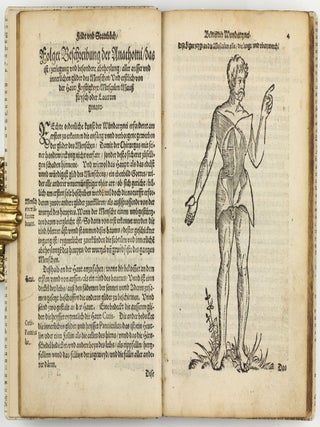 Feld und Stattbuch bewerter Wundtartznei. New widerumb ersehen zusampt dem Antidotari, Fürsorg und Vorrath der Chirurgei.