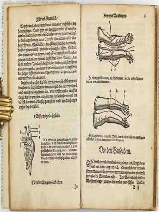 Feld und Stattbuch bewerter Wundtartznei. New widerumb ersehen zusampt dem Antidotari, Fürsorg und Vorrath der Chirurgei.