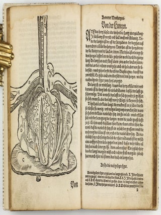 Feld und Stattbuch bewerter Wundtartznei. New widerumb ersehen zusampt dem Antidotari, Fürsorg und Vorrath der Chirurgei.