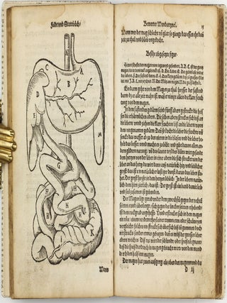 Feld und Stattbuch bewerter Wundtartznei. New widerumb ersehen zusampt dem Antidotari, Fürsorg und Vorrath der Chirurgei.