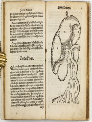 Feld und Stattbuch bewerter Wundtartznei. New widerumb ersehen zusampt dem Antidotari, Fürsorg und Vorrath der Chirurgei.