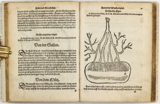 Feld und Stattbuch bewerter Wundtartznei. New widerumb ersehen zusampt dem Antidotari, Fürsorg und Vorrath der Chirurgei.