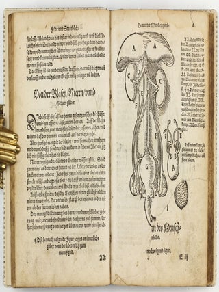 Feld und Stattbuch bewerter Wundtartznei. New widerumb ersehen zusampt dem Antidotari, Fürsorg und Vorrath der Chirurgei.