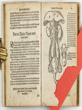 Feld und Stattbuch bewerter Wundtartznei. New widerumb ersehen zusampt dem Antidotari, Fürsorg und Vorrath der Chirurgei.