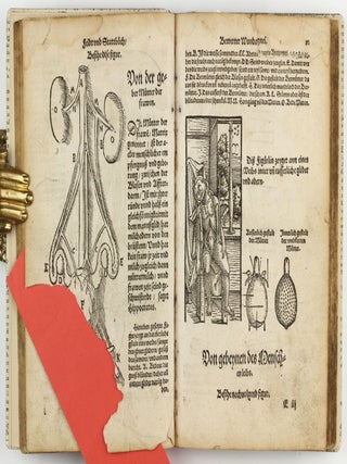 Feld und Stattbuch bewerter Wundtartznei. New widerumb ersehen zusampt dem Antidotari, Fürsorg und Vorrath der Chirurgei.