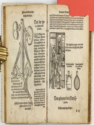 Feld und Stattbuch bewerter Wundtartznei. New widerumb ersehen zusampt dem Antidotari, Fürsorg und Vorrath der Chirurgei.