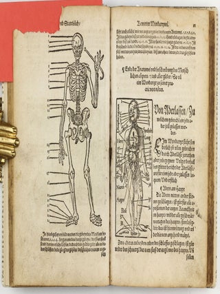 Feld und Stattbuch bewerter Wundtartznei. New widerumb ersehen zusampt dem Antidotari, Fürsorg und Vorrath der Chirurgei.