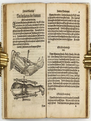 Feld und Stattbuch bewerter Wundtartznei. New widerumb ersehen zusampt dem Antidotari, Fürsorg und Vorrath der Chirurgei.