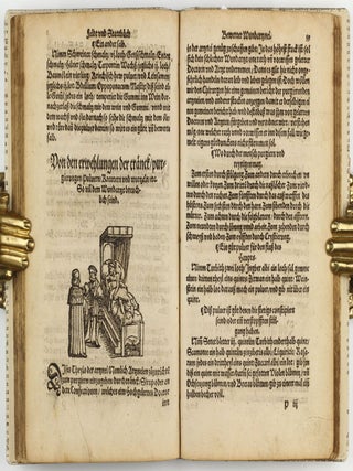 Feld und Stattbuch bewerter Wundtartznei. New widerumb ersehen zusampt dem Antidotari, Fürsorg und Vorrath der Chirurgei.