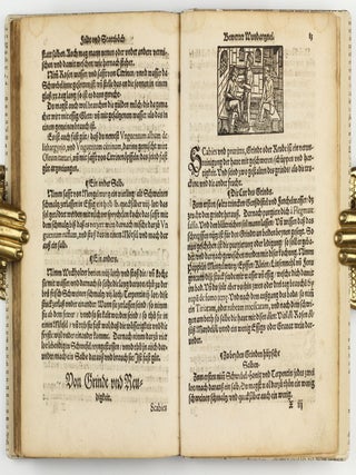 Feld und Stattbuch bewerter Wundtartznei. New widerumb ersehen zusampt dem Antidotari, Fürsorg und Vorrath der Chirurgei.