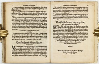 Feld und Stattbuch bewerter Wundtartznei. New widerumb ersehen zusampt dem Antidotari, Fürsorg und Vorrath der Chirurgei.