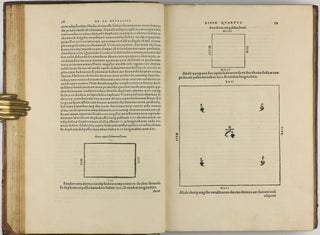 De re metallica libri XII. - De animantibus subterraneis liber.
