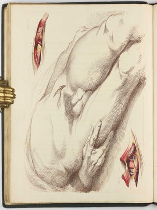 Illustrations of the Great Operations of Surgery, Trepan, Hernia, Amputation, Aneurism, and Lithotomy.